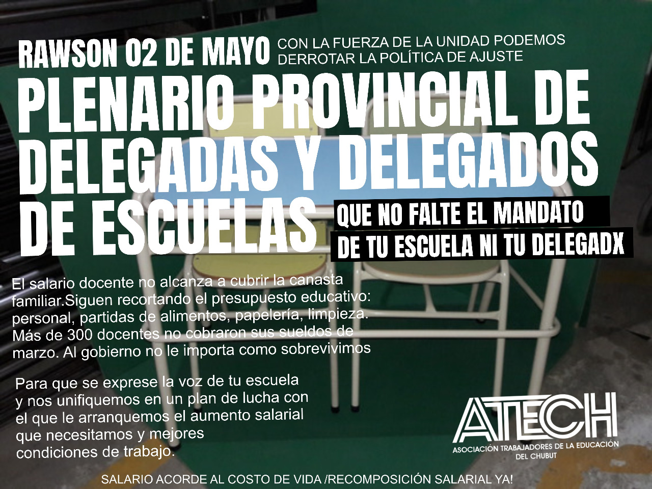 PLENARIO PROVINCIAL DE DELEGADAS Y DELEGADOS