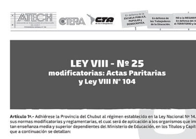 01. Ley VIII 25